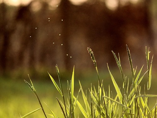 Post image for Loving My New Camera: Friday Links And Roundup
