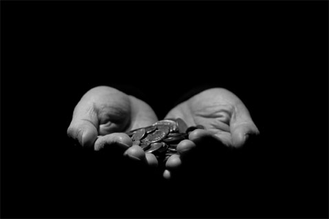 Stewardship