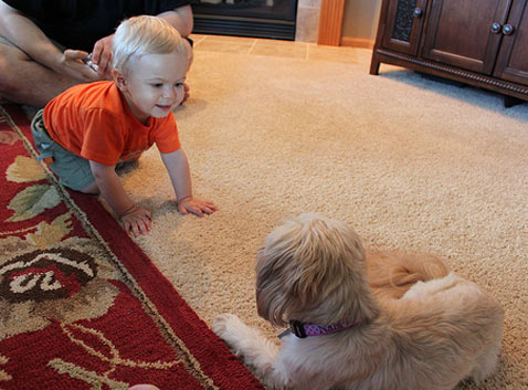 Money Lessons For Kids
