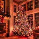christmas-tips