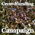 crowdfunding-campaign1