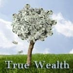define-true-wealth-fe